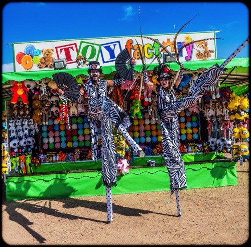 Toy Factory Shenanigans
Larimer County Fair & Rodeo